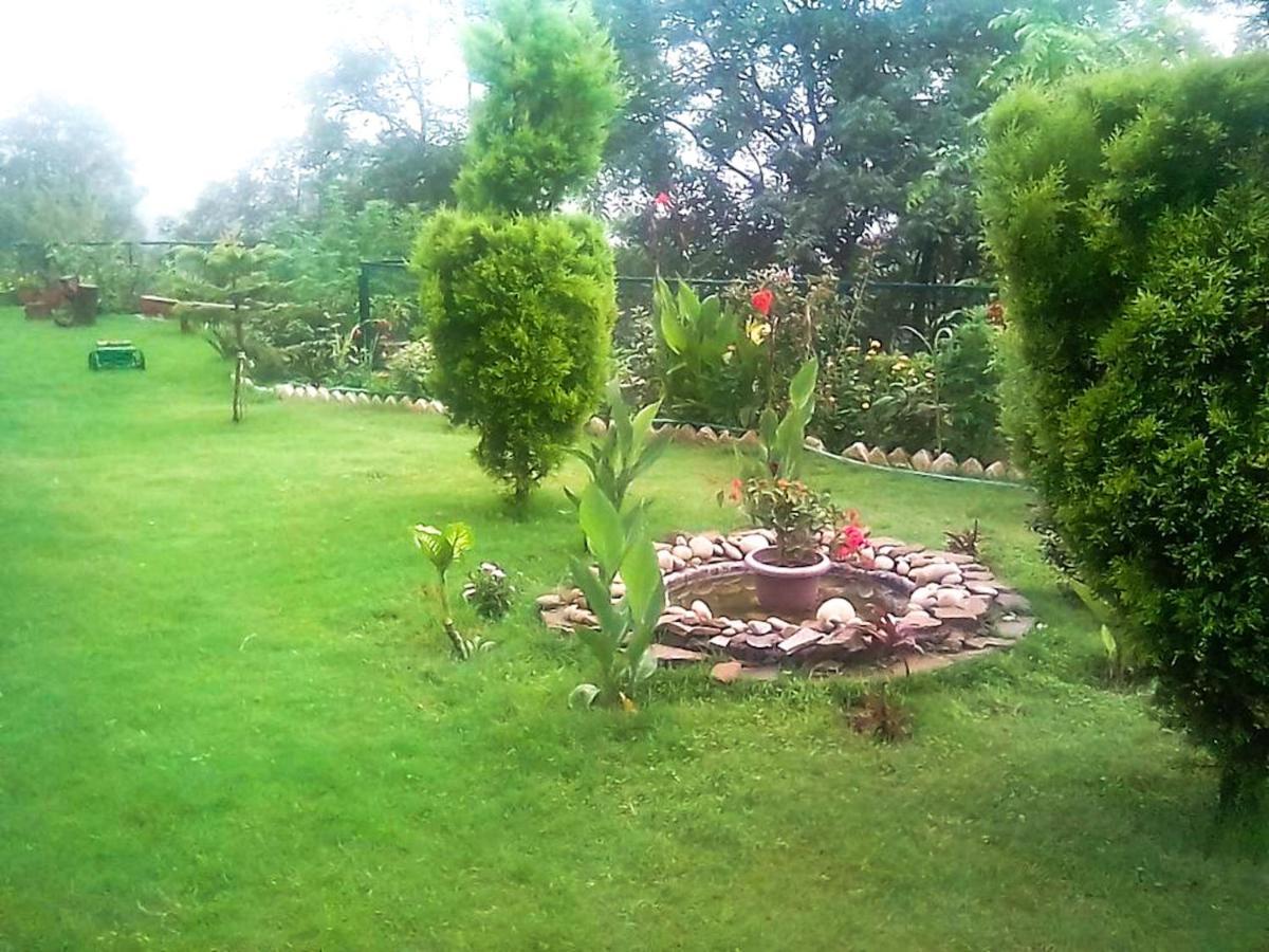 Bed and Breakfast Wildleaf Kasauli Valley Homz Exteriér fotografie