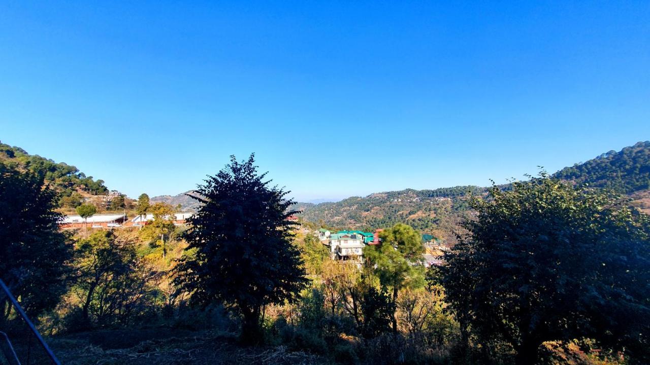 Bed and Breakfast Wildleaf Kasauli Valley Homz Exteriér fotografie